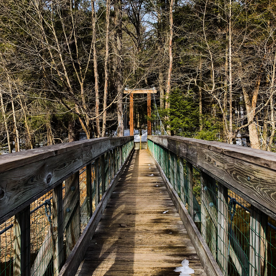 Bridge In Nature, Path to Choose, Wooden Bridge in Fall