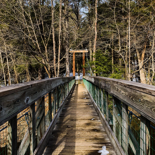 Bridge In Nature, Path to Choose, Wooden Bridge in Fall